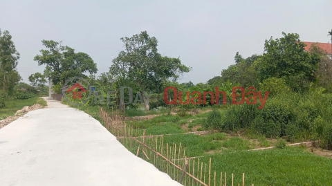 Land for sale in Gia Binh, Bac Ninh. 100m2 * frontage 5m * 1.65 billion. Car parking, full residential land _0