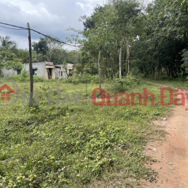 LAND FOR OWNER - NEED TO SELL QUICKLY 3 LOTS OF LAND BEAUTIFUL LOCATION IN Loc Tan Commune, Loc Ninh District, Binh Phuoc Province _0