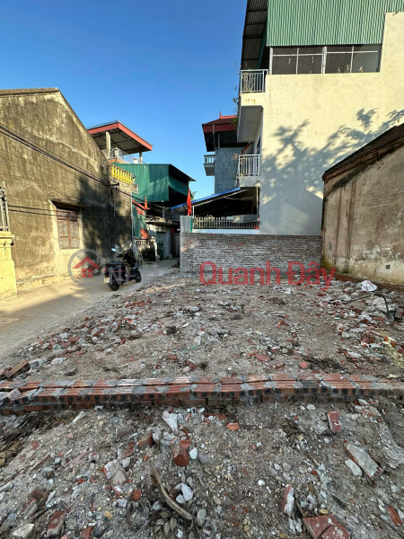 Property Search Vietnam | OneDay | Residential | Sales Listings Land for sale with an area of 48.6 m² (6.8m frontage) in Chau Khe Ward, Tu Son City, Bac Ninh Province (Phu Ward).