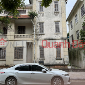 The owner urgently needs to sell duplex villa in Bao Son Paradise area _0