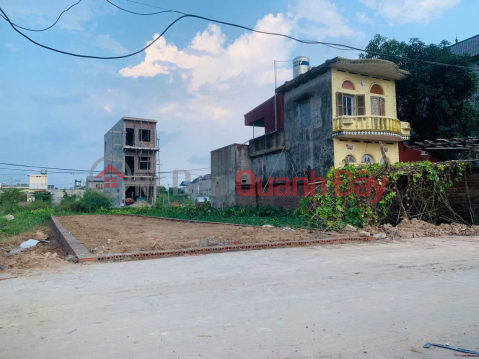 Beautiful land in Quang Minh, Me Linh. Near Tue Tinh Medical and Pharmaceutical College and industrial park. _0