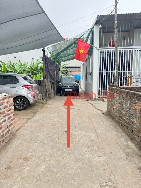 Land for sale in Trang Viet village, Trang Viet commune, Me Linh. Beautiful square plot of land, full residential land, car parking _0