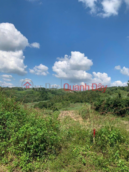 Property Search Vietnam | OneDay | Nhà ở, Niêm yết bán | Đầu Tư Sinh Lời Với Lô Đất DT Rộng 1,4ha Tại Sông Hinh, Phú Yên - Giá chỉ 550 triệu!