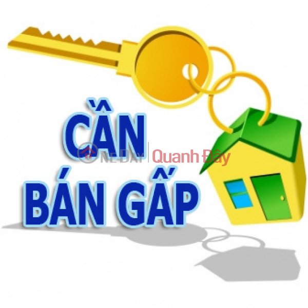 Selling 1ha of land, 50m frontage, Nguyen Trung Truc, Duong Dong, Phu Quoc - Price 50 million\\/m² Vietnam Sales, đ 500 Billion