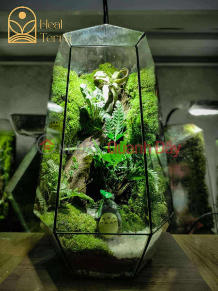 Heal Terra - Terrarium & Workshop in Danang (Heal Terra - Terrarium & Workshop tại Đà Nẵng),Hoa Vang | (5)