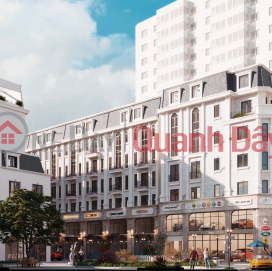 Liền kề Shophouse siêu hiếm - Heritage Láng Hạ - Vị trí kim cương ngay sau đại sứ quán Mỹ _0