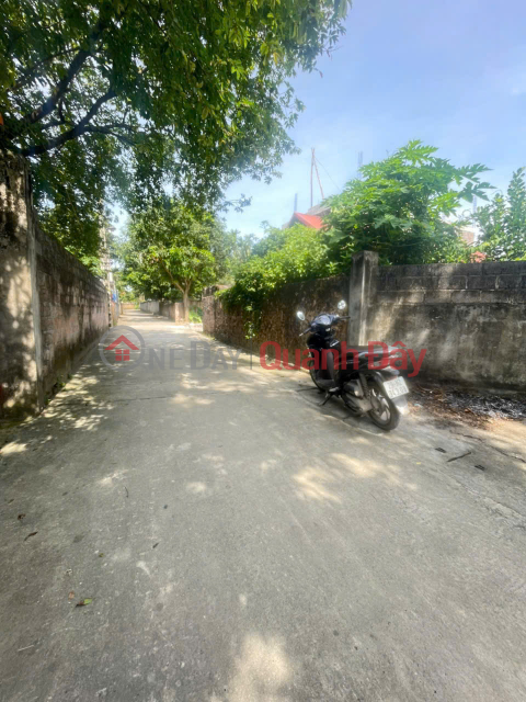 BEAUTIFUL LAND FOR SALE AT GOOD PRICE - GOOD LOCATION IN THE CENTER OF DONG CUU VILLAGE, DONG SON, CHUONG MY _0