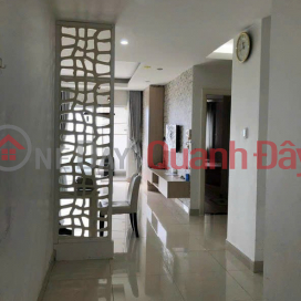The Pegasus Plaza apartment, Vo Thi Sau, 83m2, fully furnished, price only 2 billion6 _0