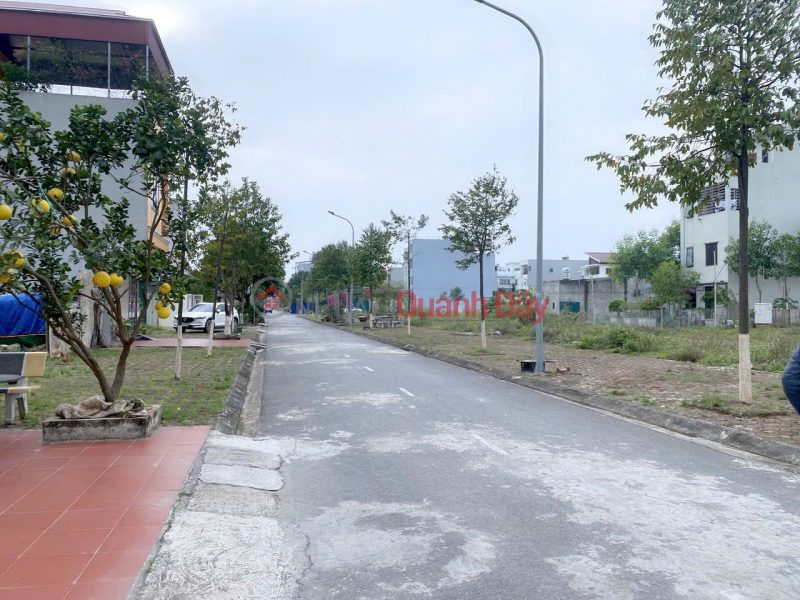Opportunity to own two adjacent plots of land in parallel, prime location in Liem Chinh urban area, Bien Hoa Specialized School Sales Listings