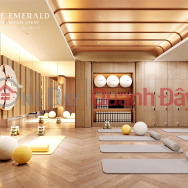 THE EMERALD GARDEN VIEW: Invest now and earn profits of just 7 million VND per month in Thuan An, Ho Chi Minh City. _0