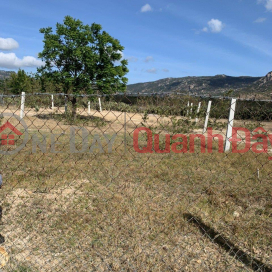 OWNER LAND - FOR SALE LOT OF LAND IN THUAN BAC NINH THUAN PROVINCE _0