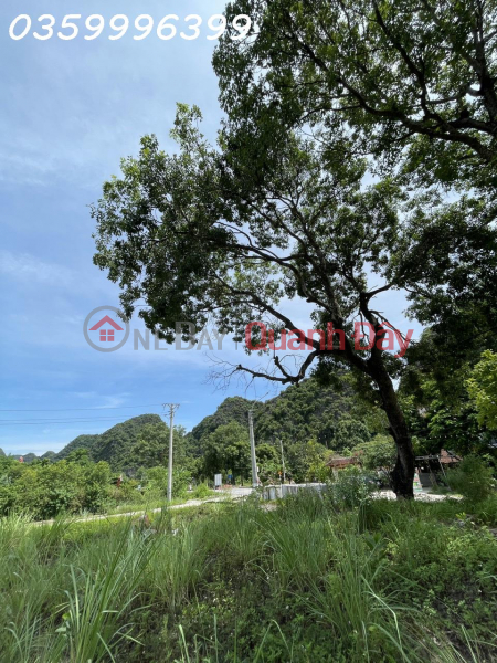Property Search Vietnam | OneDay | Residential, Rental Listings | Land for rent 455m2 in Ninh Hai commune, Hoa Lu district