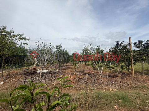 Garden land in Dien Xuan - Dien Khanh - Khanh Hoa. Suitable for building a farm. _0