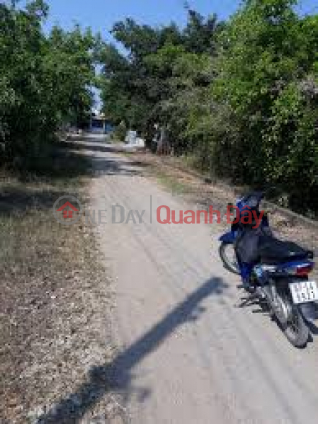 Property Search Vietnam | OneDay | Sales Listings | Agricultural land for sale at Luu Khanh Duc Street, Ward 2, City. Soc Trang.