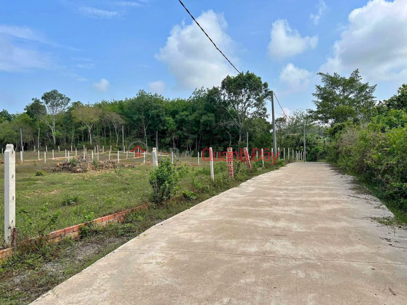 Property Search Vietnam | OneDay | Residential, Sales Listings | NEED PAYMENT I'm selling the land 3200m2 right on the national highway, opposite the industrial park for 195 million