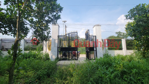 LONG KHANH JACKFRUIT GARDEN FOR SALE _ NORTHEAST FACING _0