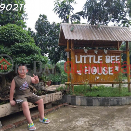 Investment opportunity at Little Bee House Luong Son resort, Hoa Binh, investment price _0