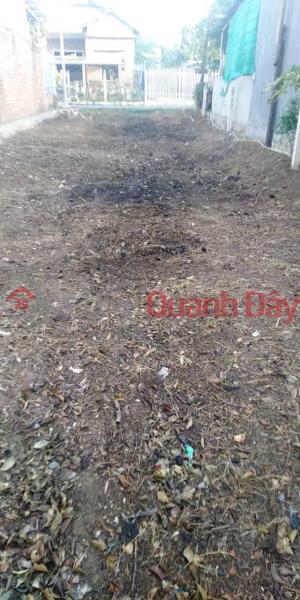 Property Search Vietnam | OneDay | Residential, Sales Listings OWNER'S LAND - Good price - Beautiful location in village 2, Ninh Son, Ninh Hoa town, Khanh Hoa province