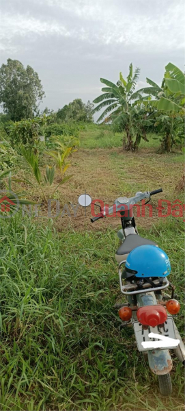 Property Search Vietnam | OneDay | Residential | Sales Listings The Owner Sells Land That Has Been Grounded In Ba Tri Center, Ben Tre