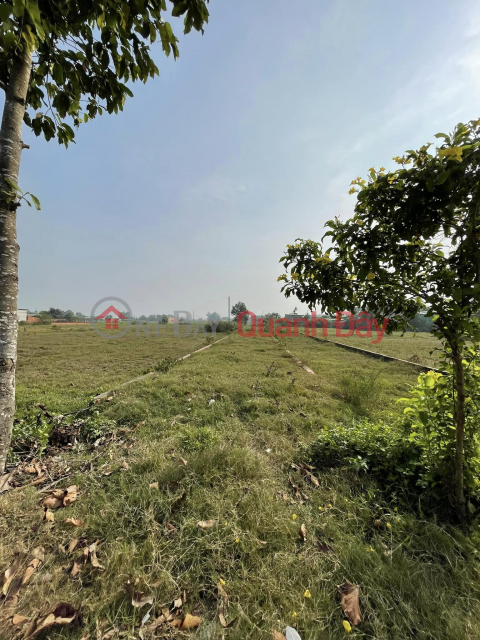 Owner Urgently Needs to Sell Land Plot, Provincial Road 9, My Hanh Bac, Long An _0