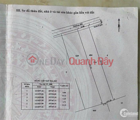 LAND owner Need to sell quickly a beautiful plot of land in Binh My commune, Cu Chi district, HCMC _0