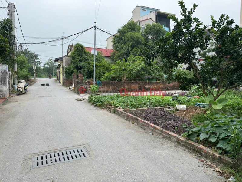 Bán đất thổ cư 86m², hướng Đông Nam, trung tâm Chi Đông, Mê Linh, Hà Nội Niêm yết bán
