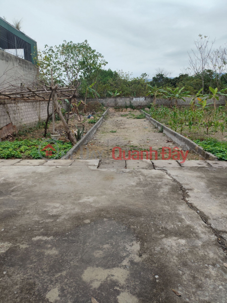 I still have 1 plot of land left, Xuan Sen, Thuy Xuan Tien, Chuong My, Hanoi. Area 76m2 full residential land ️Front road Sales Listings