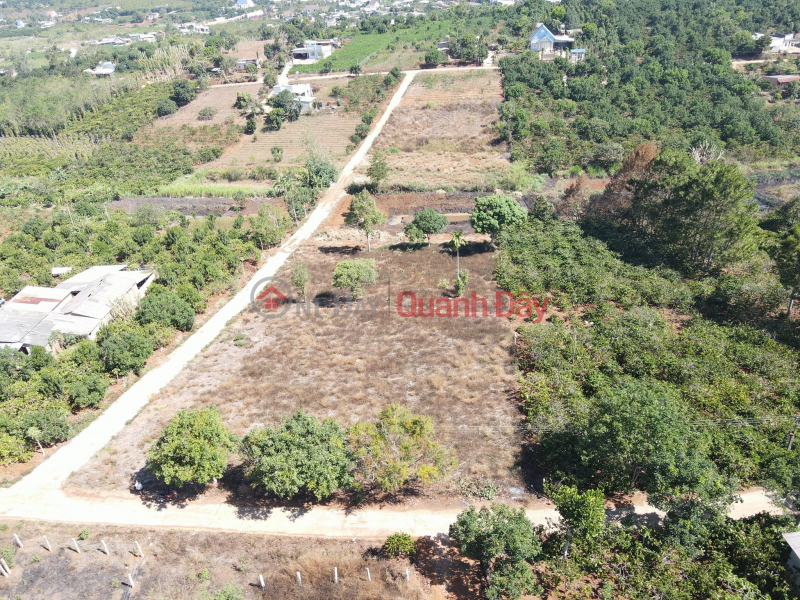 Land for sale with red book in Dong Thanh Lam Ha Sales Listings