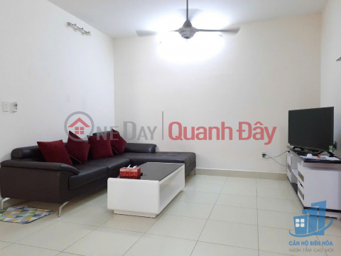 Beautiful Son An apartment for rent, 70m2, 2 bedrooms, near Dong Nai Hospital, price 7 million _0