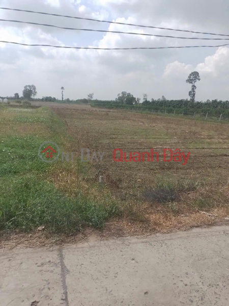 đ 1.8 Billion, Beautiful Land - Good Price - Urgent Land Sale In An Dong Commune, Lap Vo, Dong Thap