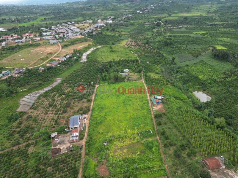 Property Search Vietnam | OneDay | Residential, Sales Listings Own a Beautiful Land Lot, Prime Location In Krong Nang District, Dak Lak