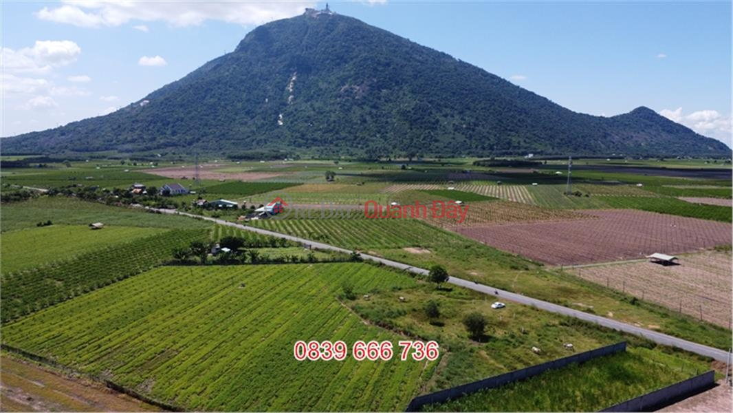 Front Land of Suoi Da Commune: Dream House Is Here Sales Listings