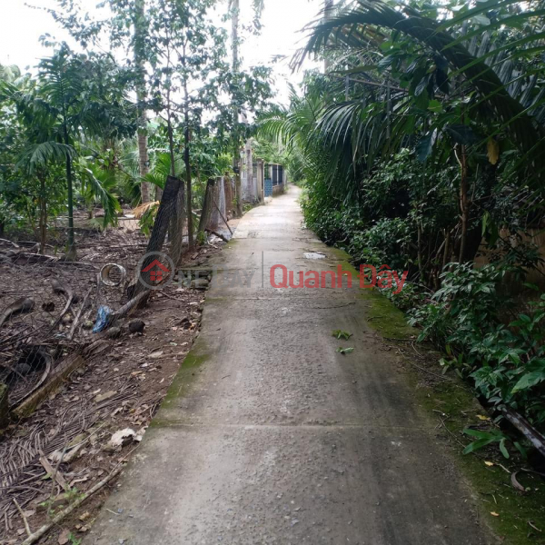 OWNER Needs To Quickly Sell Garden Plot In Giong Trom Town - Ben Tre Sales Listings