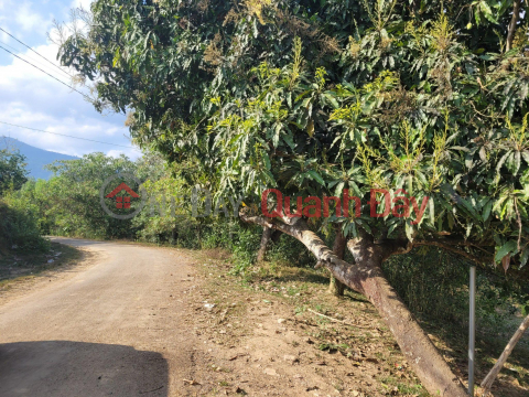 Beautiful Land - Good Price - Owner Needs to Sell Land Lot in Beautiful Location in Cau Ba Commune, Khanh Vinh _0