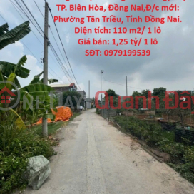 Chính Chủ Cần Bán GẤP 2 Lô Đất Hẻm 847 Đường Đồng Khởi, Phường Tân Phong( cũ ) TP. Biên Hòa, Đồng Nai _0