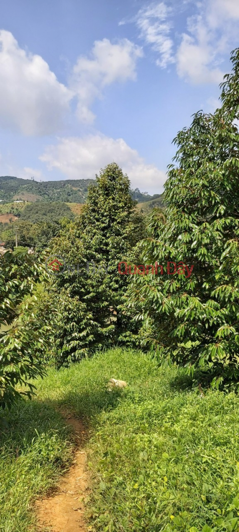 BEAUTIFUL LAND - GOOD PRICE - Madagui Land Lot - Prime Location In Ha Lam Commune, Da Huoai, Lam Dong Province _0