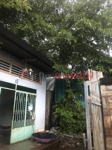 BEAUTIFUL LAND - Urgent Sale Land Lot Beautiful Location In Dong Nai Sales Listings