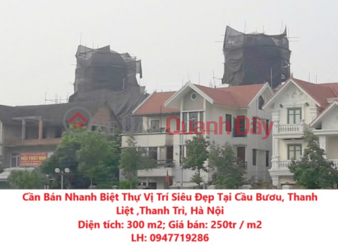 Cần Bán Nhanh Biệt Thự Vị Trí Siêu Đẹp Tại Cầu Bươu, Thanh Liệt ,Thanh Trì, Hà Nội _0