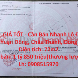 BEAUTIFUL LAND - GOOD PRICE - Quick Sale Land Lot In Tan Nhuan Dong Commune, Chau Thanh, Dong Thap _0