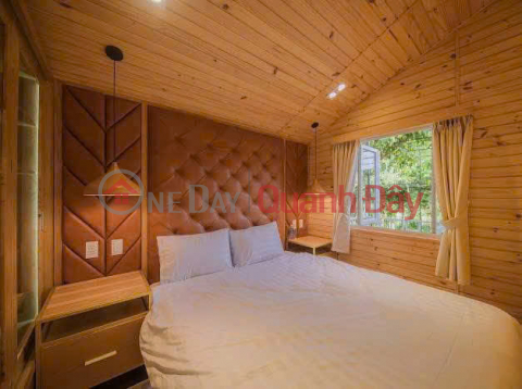 Cho thuê homestay khuôn viên 2.000m2 4 bungalow view rừng thông giá 35 triệu tại Tà Nung Đà Lạt Lâm Đồng _0