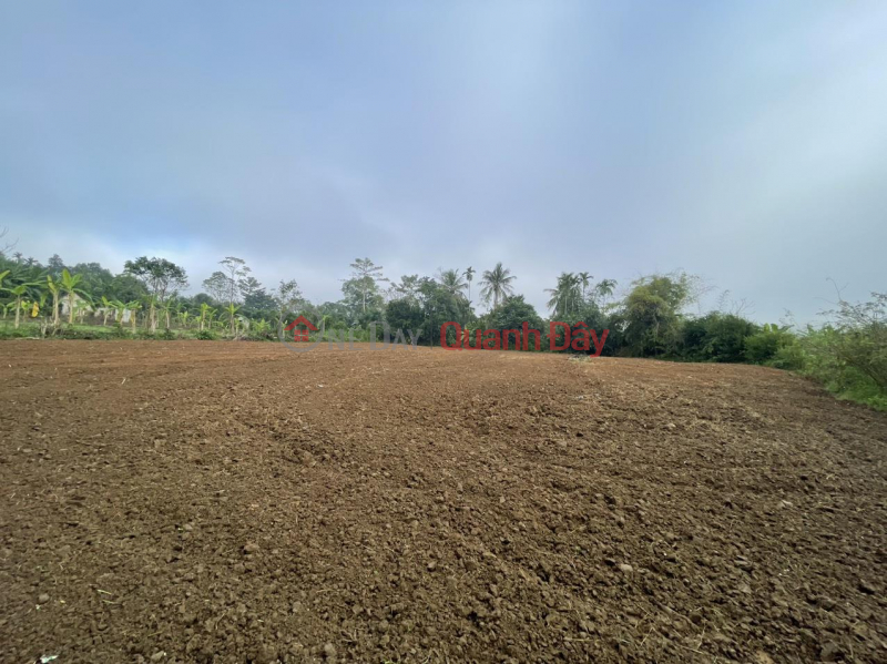₫ 350 Million, Owner Needs to Sell Land Lot in Quy Hop, Nghe An