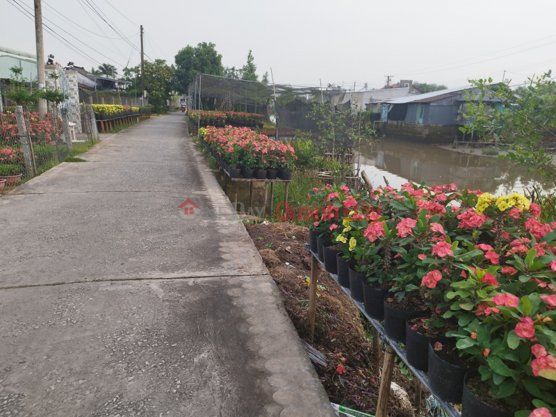 Bán Đất Mặt Tiền Đường Phạm Hồng Thái, Sa Đéc, 308m2, Sổ Hồng | Việt Nam | Bán đ 1,95 tỷ