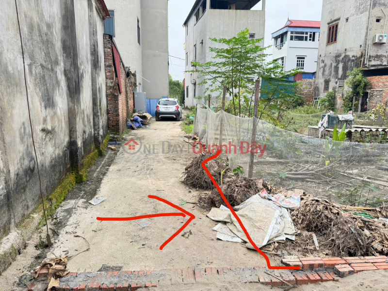 Property Search Vietnam | OneDay | Nhà ở, Niêm yết bán, Bán gấp lô đất thôn Bạch Đa, Kim Hoa, Mê Linh, HN. Đất vuông vắn, không lỗi, ô tô đỗ