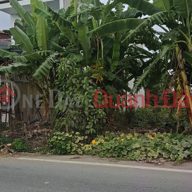 ADJACENT LAND LOT FOR SALE IN DONG HUNG TOWN, PRICE 1.23 BILLION, NEGOTIABLE _0