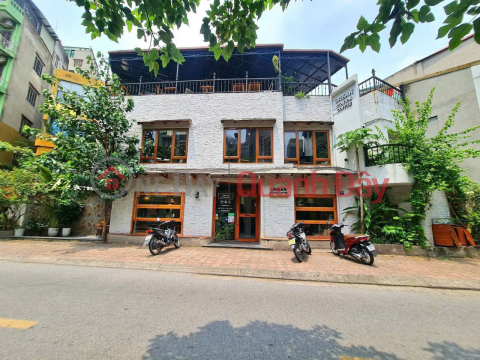 RARE STREET, EXTREMELY RARE HOUSES FOR SALE<br \/><br \/> A GIRL WHO LIVES ON PHAM NGOC THACH AND NGUYEN NGOC DOAN STREETS.. _0