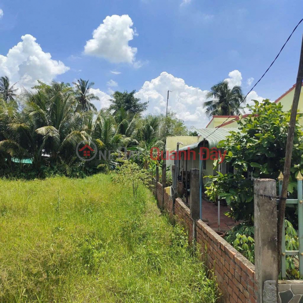 Owner Needs To Quickly Sell A Plot Of Land In A Good Location - Good Price In Hoa Tinh Commune, Mang Thit, Vinh Long Sales Listings