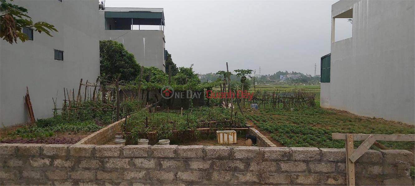 BEAUTIFUL LAND - GOOD PRICE - OWNER For Quick Sale Full Residential Land Lot Thach That - Hanoi Sales Listings