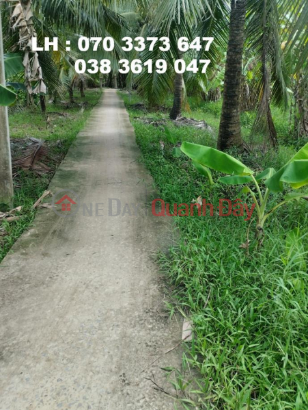 Owner Sells Beautiful Land Lot in Thoi Lai Commune, Binh Dai District, Ben Tre - Investment Price Sales Listings