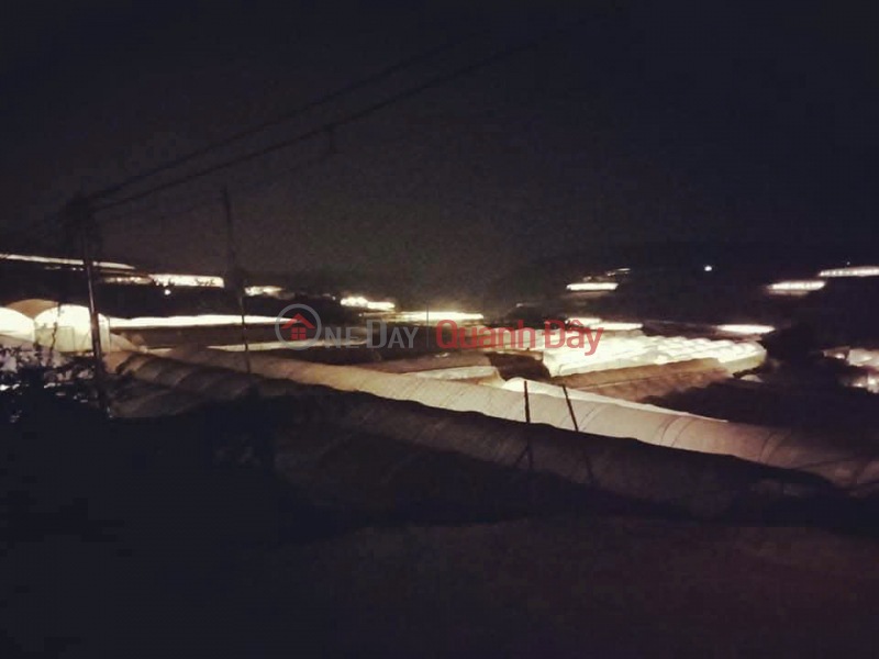 HOT HOT - AGRICULTURAL LAND FOR SALE ON Huynh Tan Phat Street, Ward 11, Da Lat City, Lam Dong, Vietnam | Sales, đ 10 Billion