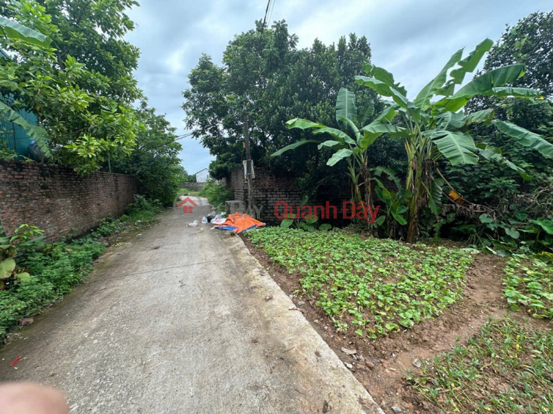 Property Search Vietnam | OneDay | Residential, Sales Listings, Hot subdivision lots just out of the oven 230m2 full residential land corner lot on main road with car access, frontage over 20m, lake view